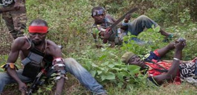 ستة قتلى في هجوم لمتمردين في شرق الكونغو الديموقراطية