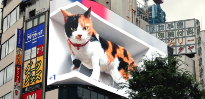 قطة تستحوذ على شاشة إعلانات عملاقة فى طوكيو