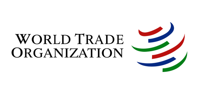 مجلس منظمة التجارة العالمية يناقش قضايا حقوق الملكية الفكرية