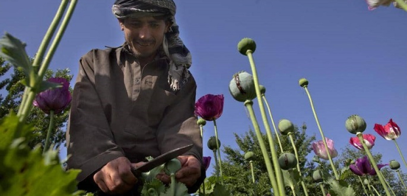 كيف مولت طالبان حربها في أفغانستان خلال 20 عاماً ؟