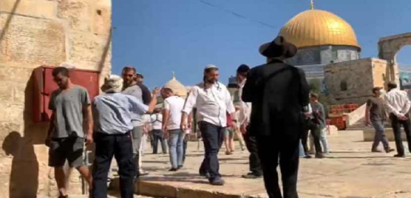 مستوطنون إسرائيليون يقتحمون باحات “الأقصى” بحماية شرطة الاحتلال