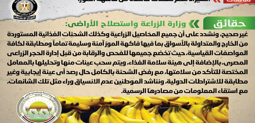 الحكومة تنفي استيراد شحنات فاسدة من فاكهة الموز