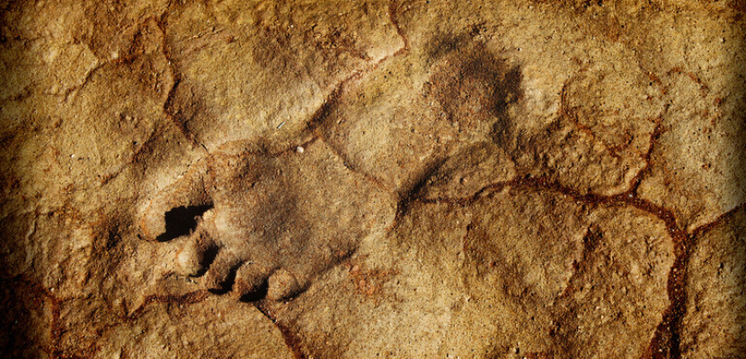 حل لغز آثار أقدام غريبة عمرها 3.7 مليون سنة اكتشفت في تنزانيا