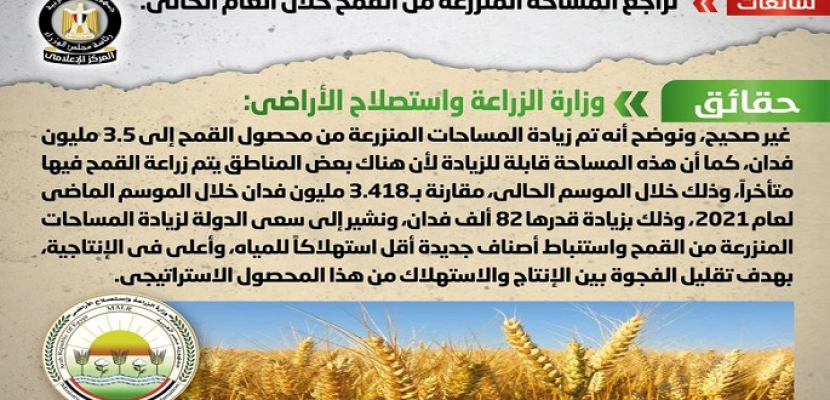 مجلس الوزراء ينفي تراجع المساحة المنزرعة من القمح خلال العام الحالي