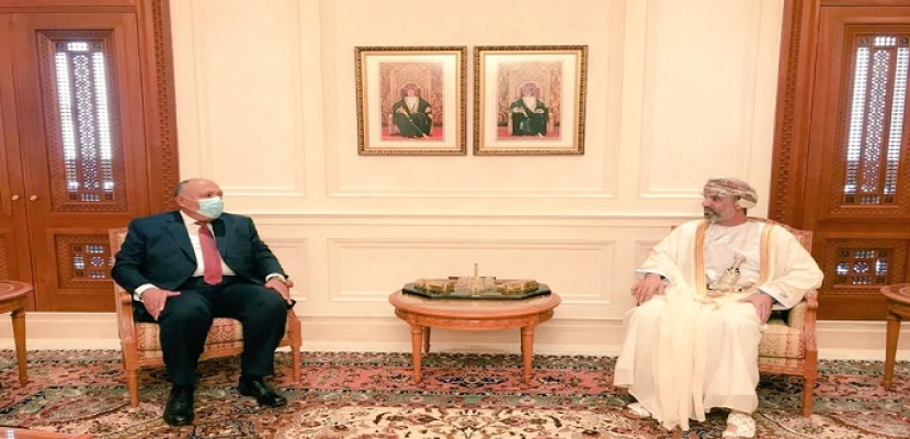 بالصور .. شكرى يبحث مع رئيس مجلس الشورى العُماني تعزيز العلاقات الثنائية