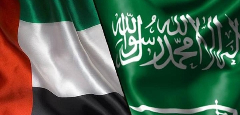 الإمارات والسعودية تبحثان التنسيق والتشاور والعمل المشترك في الشئون الدفاعية