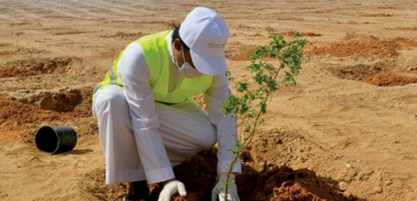 الرياض السعودية: المملكة تبذل جهودًا استثنائية لمواجهة التغيرات المناخية في العالم