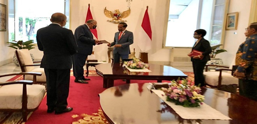 بالصور .. وزير الخارجية يسلم رسالة موجهة من الرئيس السيسي إلى الرئيس الإندونيسي