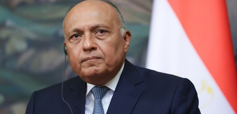 مباحثات مصرية نمساوية بالقاهرة غدا على مستوى وزيري الخارجية