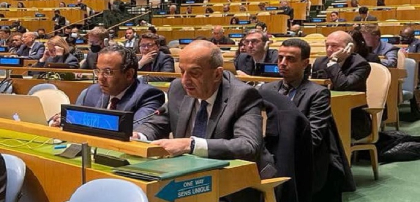 بيان مندوب مصر لدى الأمم المتحدة خلال جلسة التصويت على مشروع قرار حول تعليق عضوية روسيا بمجلس حقوق الإنسان
