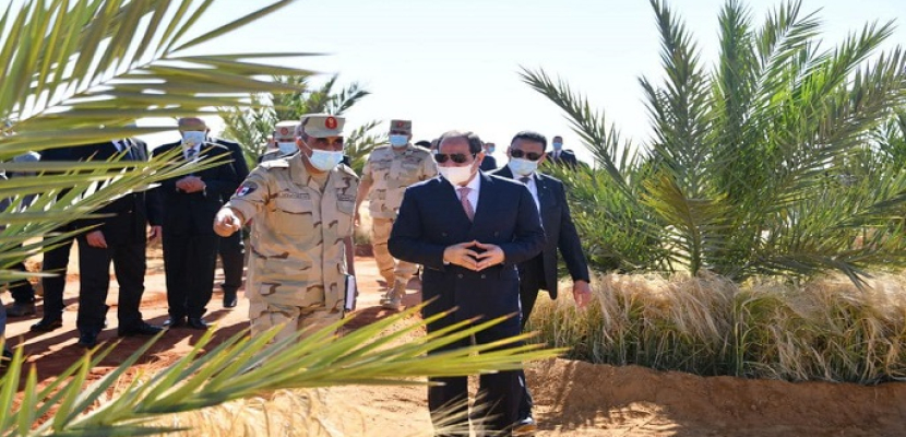 بالفيديو والصور.. الرئيس السيسي يشهد بدء موسم حصاد القمح في توشكى بمحافظة أسوان