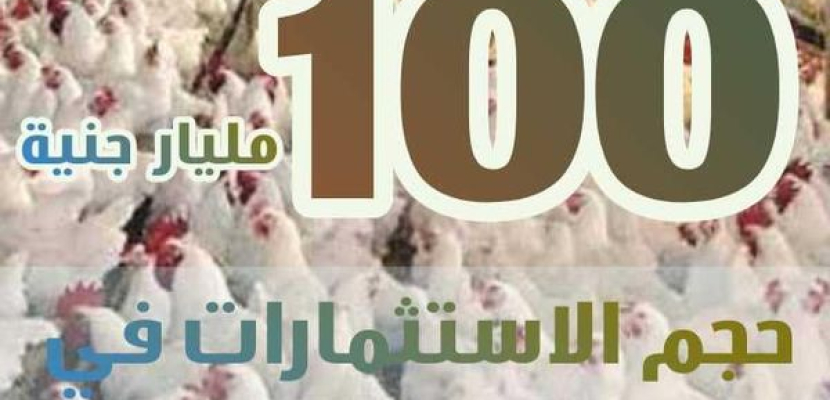 بالصور.. مركز معلومات الزراعة يستعرض أهم الأرقام حول صناعة الدواجن في مصر