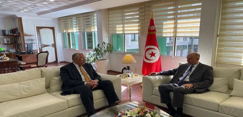 بالصور.. وزير الزراعة يبحث مع وزير الفلاحة التونسي سبل التعاون بين البلدين