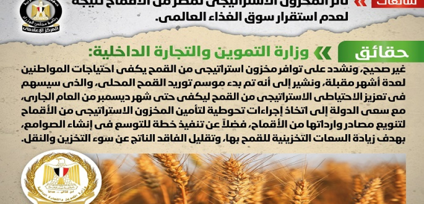 الحكومة: لا صحة لتأثر المخزون الاستراتيجي لمصر من الأقماح نتيجة لعدم استقرار سوق الغذاء العالمي
