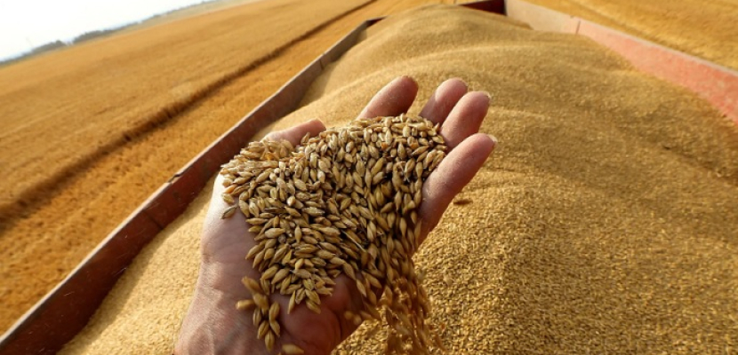 أوكرانيا: روسيا استولت على 1.5 مليون طن من الحبوب