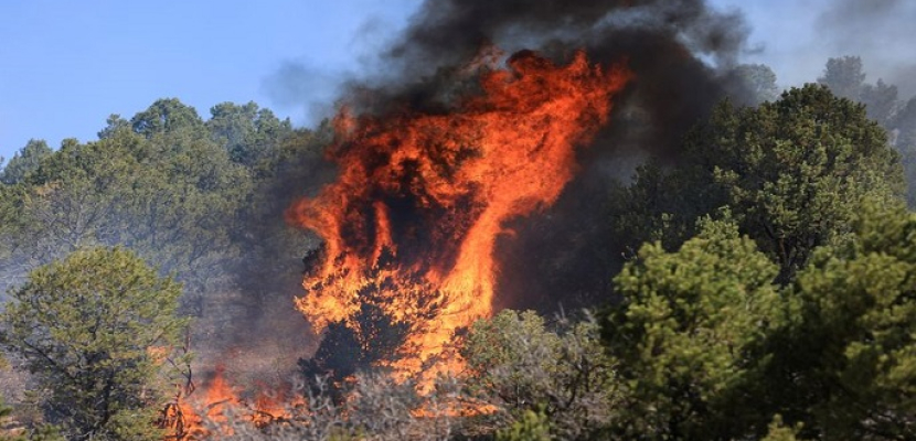 انتشار حرائق غابات ضخمة في نيو مكسيكو
