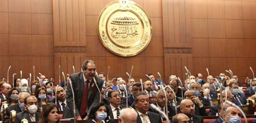 مجلس الشيوخ يدين الحادث الإرهابي الذي استهدف محطة رفع المياه غرب سيناء