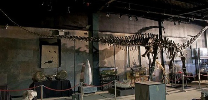 بريطانيا: اكتشاف بقايا ديناصور عملاق آكل للحوم هو الأكبر في أوروبا على الإطلاق