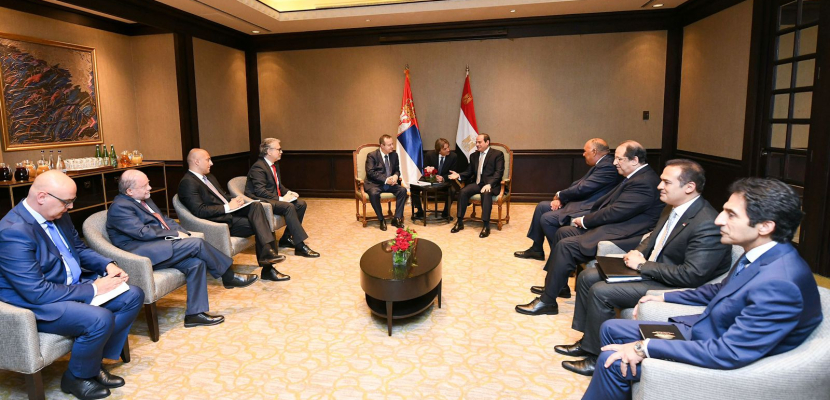 الرئيس السيسي يبحث مع رئيس البرلمان الصربي تفعيل أطر التعاون المشترك