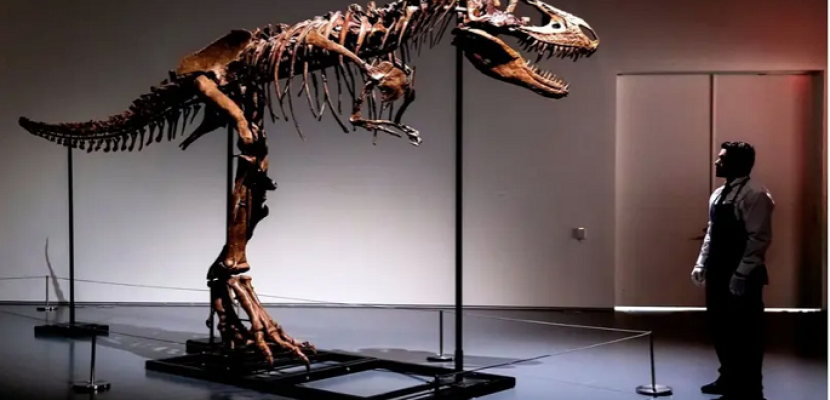 بيع هيكل عظمي كامل لديناصور “غورغوصور” بأكثر من 6 مليون دولار