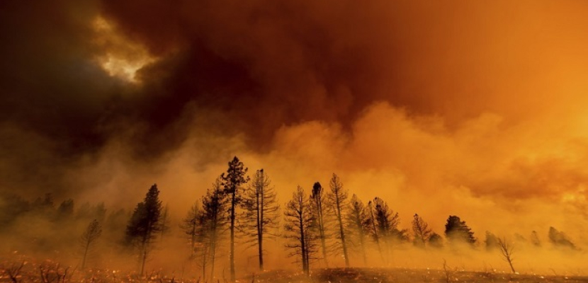 حرائق الغابات في ايداهو تودي بحياة طيارين أمريكيين أثناء محاولات إخمادها