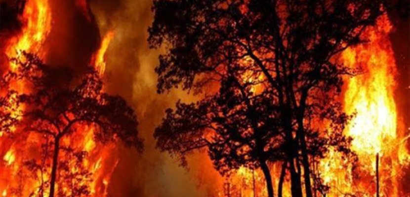 إجلاء أكثر من 6500 شخص في إقليم جرنده جنوبي غرب فرنسا بسبب حرائق الغابات