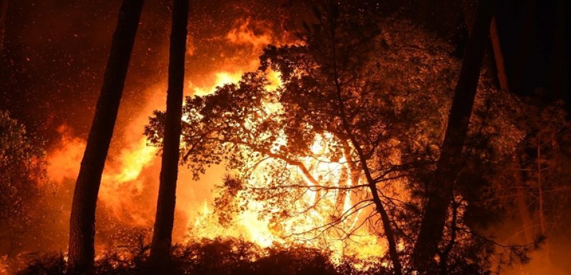تدمير نحو 1000 هكتار من الغابات بسبب الحرائق في إقليم جرندة جنوب غربي فرنسا