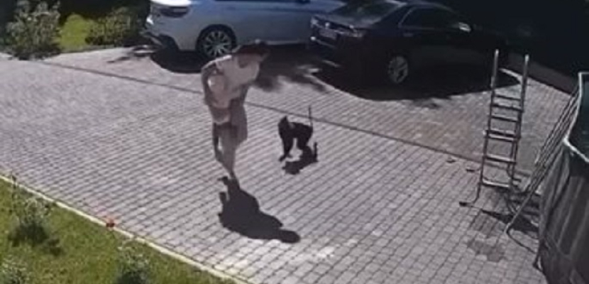 قرد يهاجم طفلة أوكرانية فى موسكو ويحاول خطفها من والدتها
