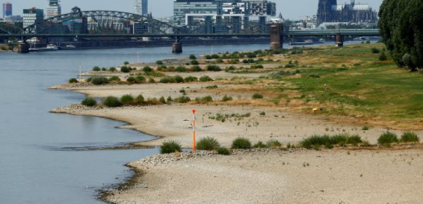 ديلي ميل : جفاف نهر الراين يهدد الإمدادات الحيوية لألمانيا