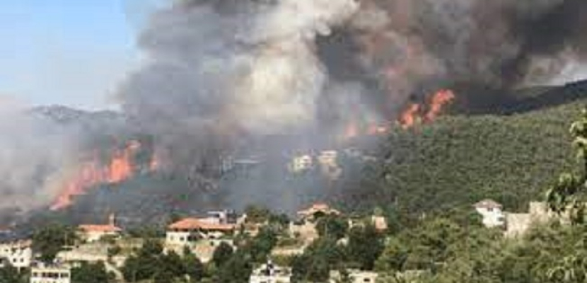 ارتفاع عدد ضحايا حرائق الغابات بالجزائر إلى 37 حالة وفاة و183 إصابة