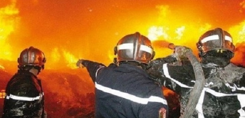 الجزائر: اندلاع 10 حرائق في 7 ولايات وتكثيف الجهود لإخمادها