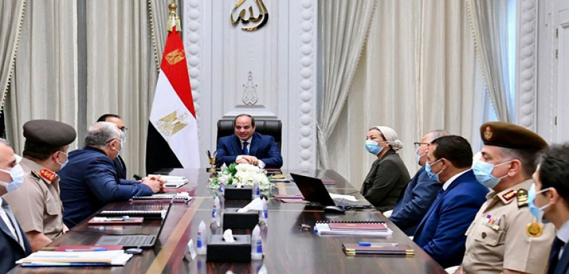 الرئيس السيسي يوجه بإعداد دراسة متكاملة للاستفادة من ثروات بحيرة ناصر السمكية