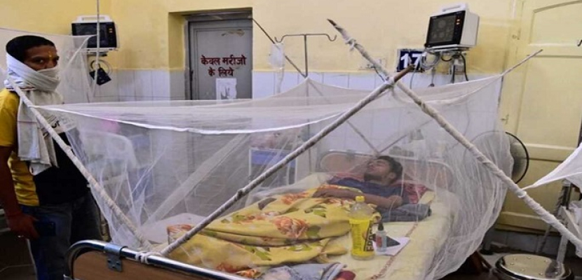 العراق: ارتفاع حصيلة الإصابات بالحمى النزفية إلى 303 حالات