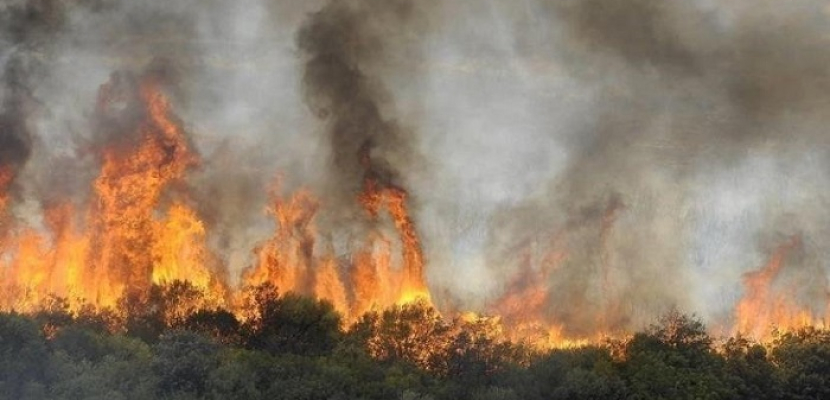حرائق الغابات في ريازان الروسية تنتشر في 19 ألف هكتار من الأراضي