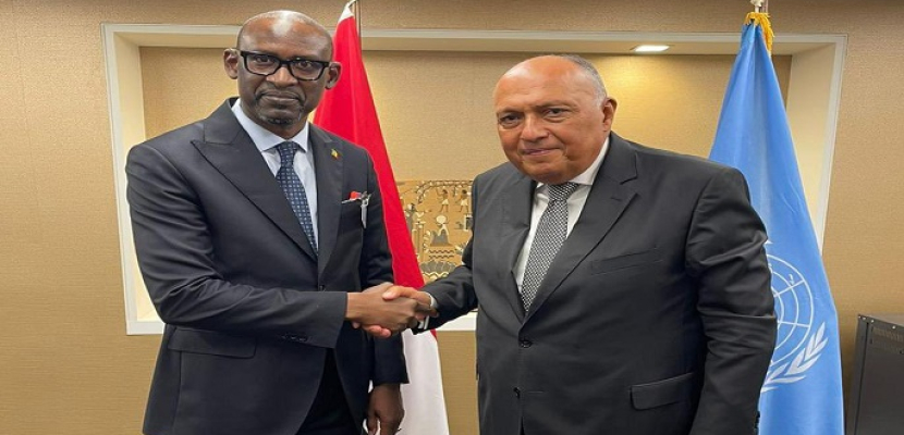 بالصور.. وزير الخارجية يؤكد دعم مصر لجهود إحلال السلام في مالي