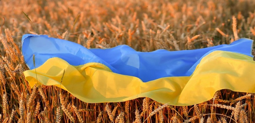 ثلاث سفن محملة بالمنتجات الزراعية الأوكرانية تغادر موانئ أوكرانيا