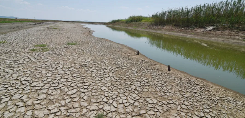 20 مليار دولار خسائر.. جفاف تاريخي يضرب الزراعة بالأرجنتين