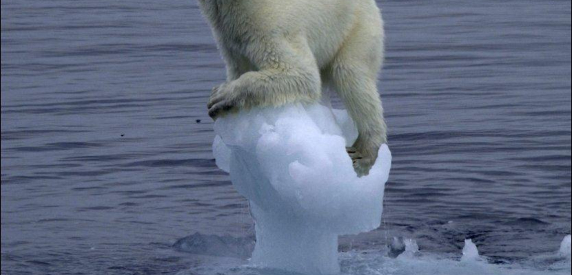 الجارديان :القطب الشمالي قد يفقد “بشكل نهائي” الجليد البحري في غضون عشر سنوات