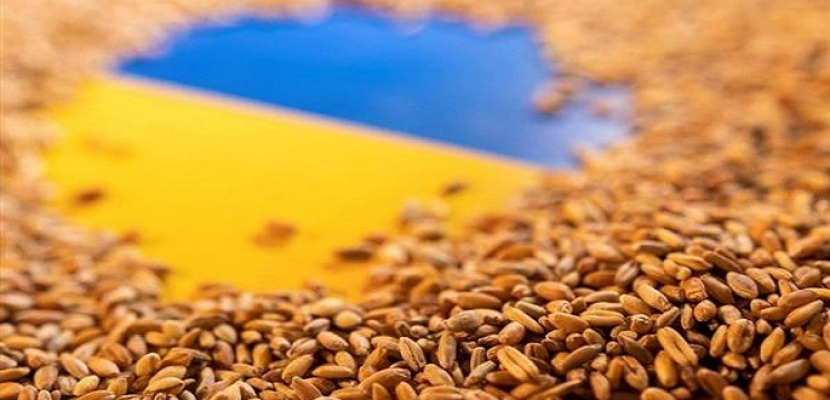 أوكرانيا: تصدير 9 ملايين طن من المنتجات الزراعية عبر الموانئ البحرية حتى الآن