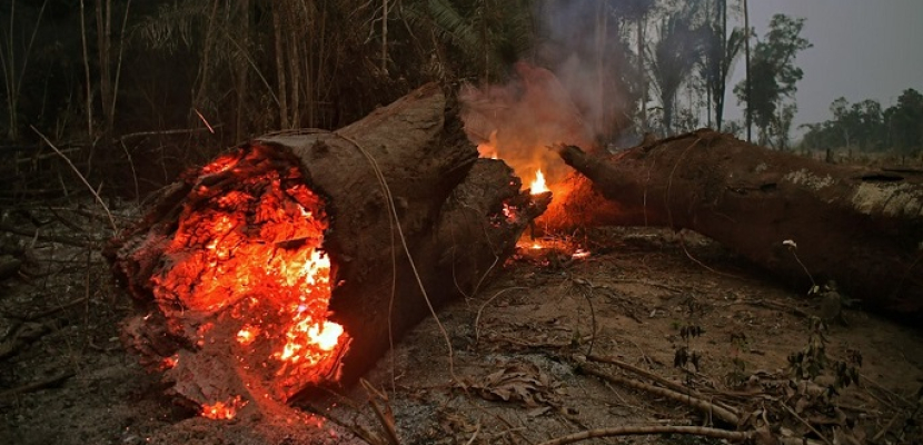 البرازيل تشهد أسوأ حرائق الغابات خلال عقد من الزمان في ظل تجاهل المرشحين للبيئة