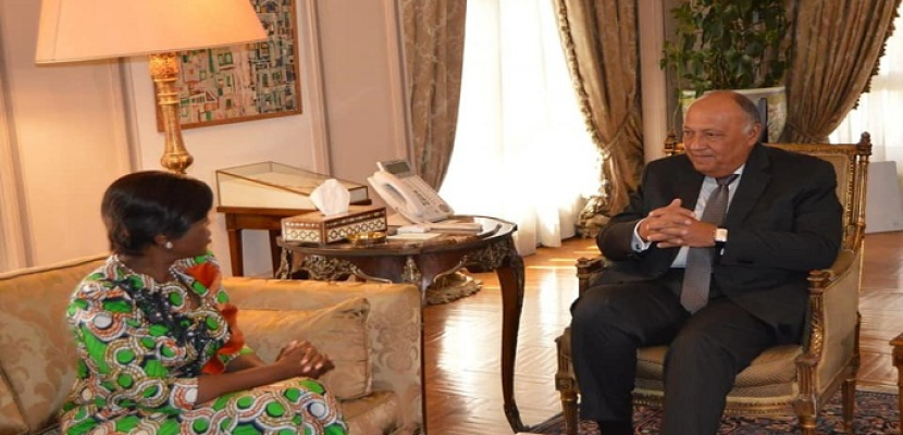 رسالة للرئيس السيسي من رئيس جمهورية الكونغو برزافيل يتسلمها شكري