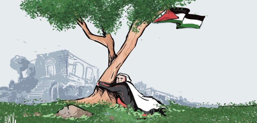 فلسطين تواصل المقاومة