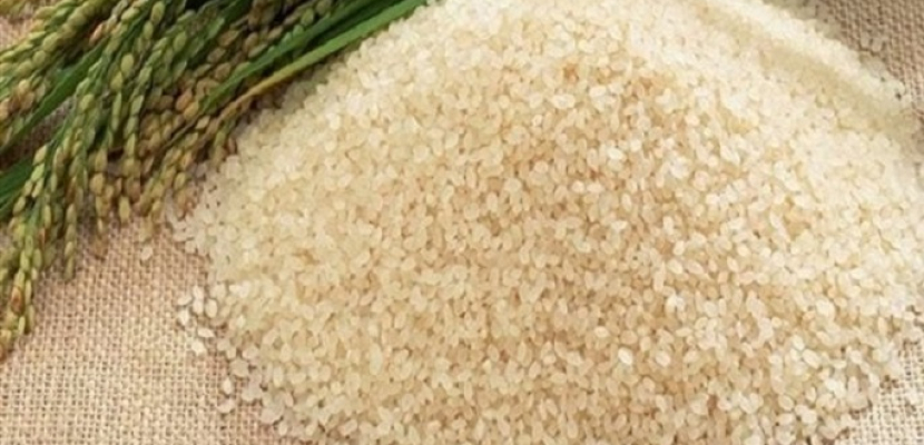 توريد أكثر من 34 ألف طن من محصول الأرز الشعير بكفر الشيخ