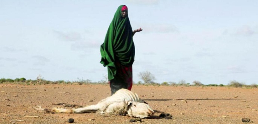 تغير المناخ يُجوّع أفريقيا… والإرهاب يُقوّض الجهود الإنسانية