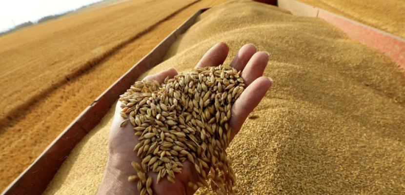 أمريكا تخصص 20 مليون دولار لتمويل توصيل الحبوب الأوكرانية لأكثر الفئات ضعفًا في العالم