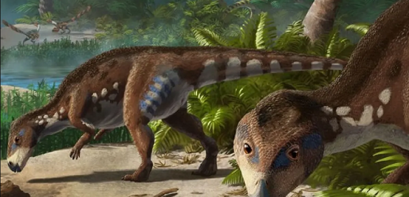 اكتشاف ديناصور جديد عاش قبل 70 مليون سنة في رومانيا !!
