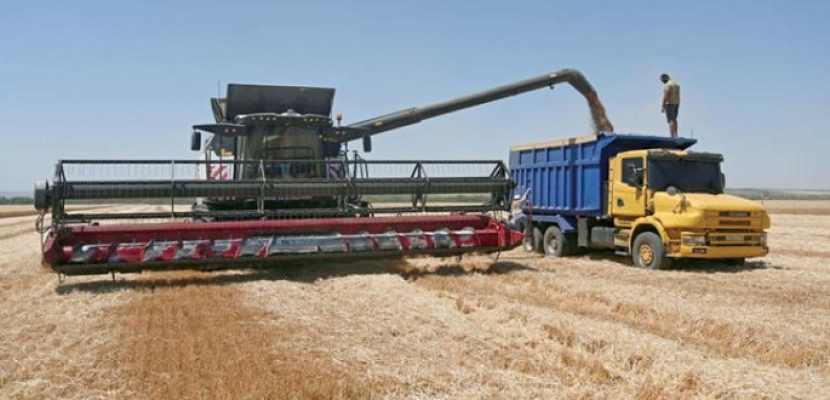 أوكرانيا.. صادرات الحبوب تهبط بنحو الثلث في موسم 2022-2023