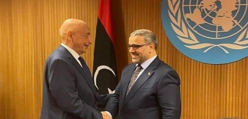 اتفاق بين صالح والمشري يمهد الطريق لاستئناف مفاوضات قانون الانتخابات