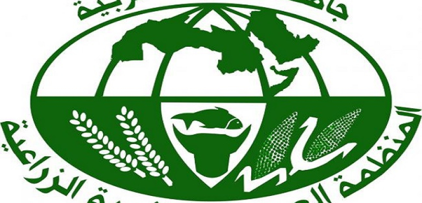 المنظمة العربية للتنمية الزراعية تدعو لتفعيل اقتصاد الأزمات في التعامل مع قضية الأمن الغذائي العربي