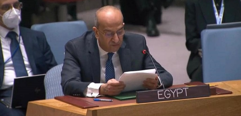 مصر تطالب بوقف الإجراءات الإسرائيلية الأحادية التي تقوض حل الدولتين